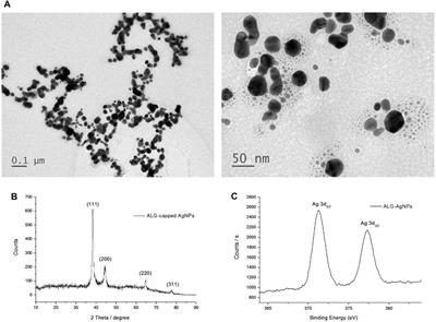 Alginate-Capped Silver Nanoparticles as a Potent Anti-mycobacterial Agent Against Mycobacterium tuberculosis